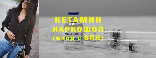 a pvp Новозыбков