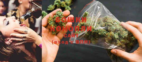 ГАЛЛЮЦИНОГЕННЫЕ ГРИБЫ Нея