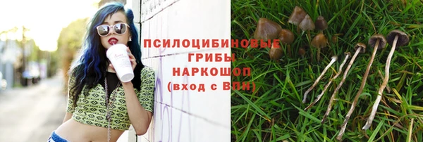 соль ск Нефтекумск