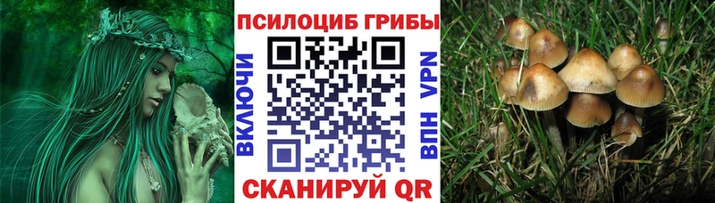 где купить наркоту  Яблоновский  Галлюциногенные грибы мухоморы 